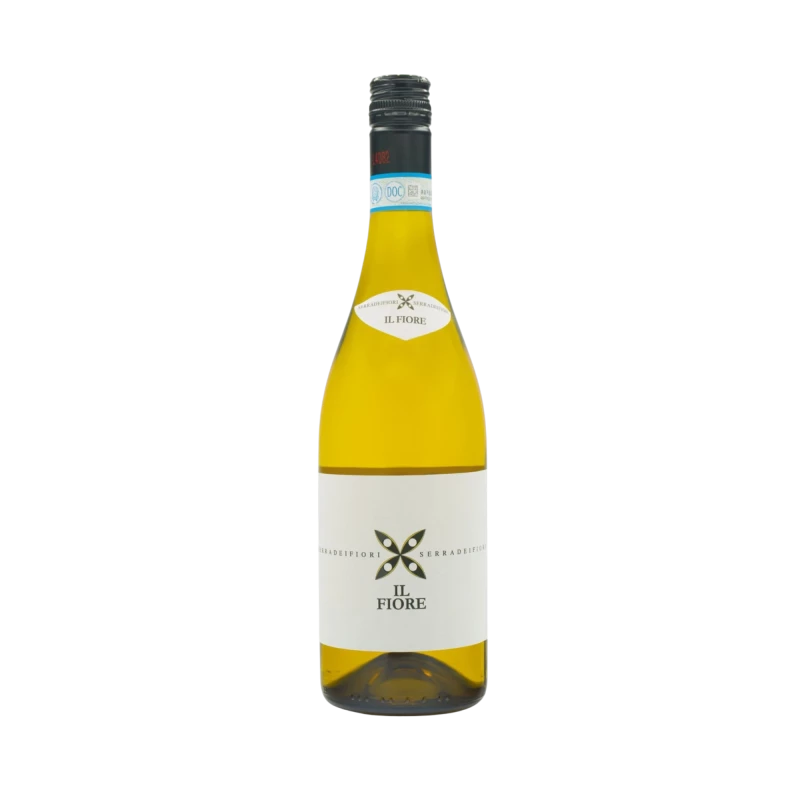 Il Fiore Langhe Bianco DOC 2023